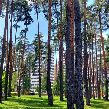 ЖК Чехов парк 67м2 біля центрального парку. Квартира актуальна ЖК Чехов парк