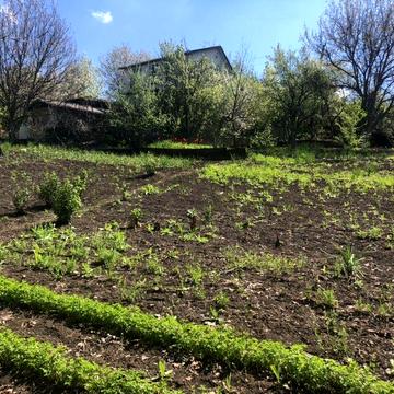 Продам дачу в Рожаївці ТЕРМІНОВО