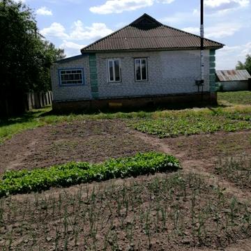 Продам дом смт Куликівка