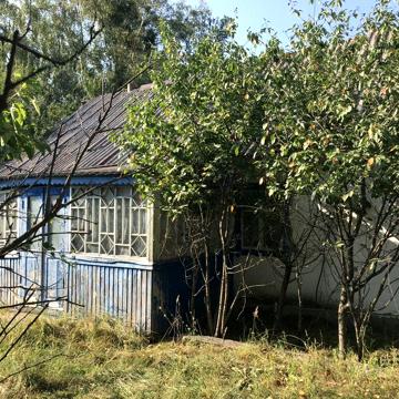 Продається будинок в Лугинах