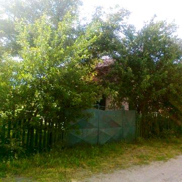 Дом, участок в Орловщине