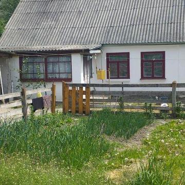 Продам будинок с.Романіка