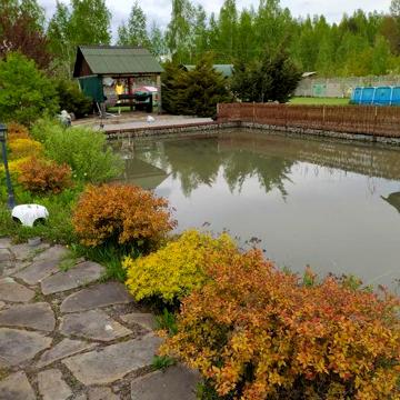 Продам дачу в живописном месте