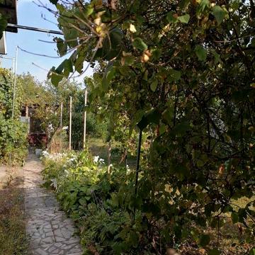 Продаж дачи в Рожнах СТ "Трудовик" Бровари без%
