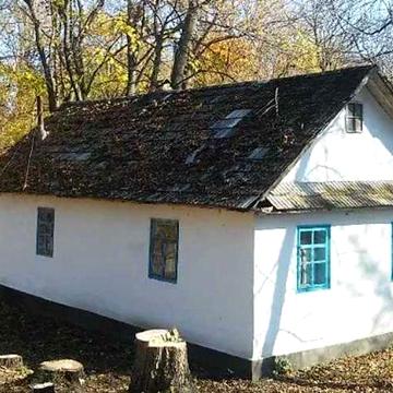Продається два житлових будинка  з земельною ділянкою