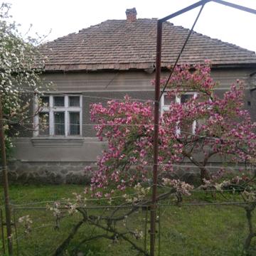 продам будинок в м.Іршава.вул.Білецька