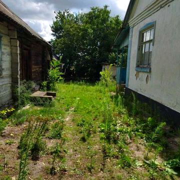 Будинок в селі Кураш