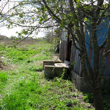 Продам дачу в Черниговской области