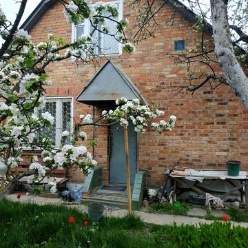 Дачний будинок у Фастівському районі.