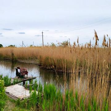 Дача в с\о Шведовка