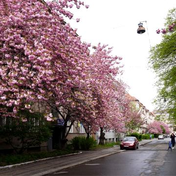2 кімн з ремонтом в самому центрі