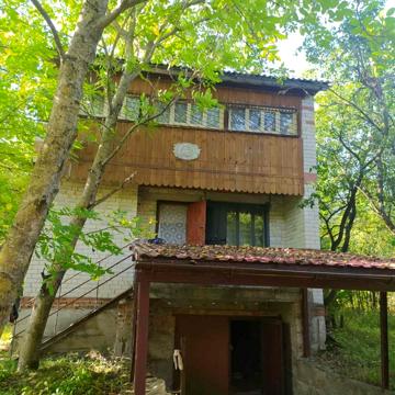 Зелена