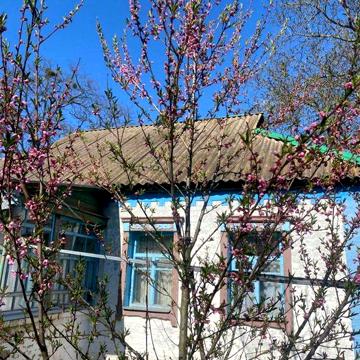 Продаж будинку, с. Черевки, Згурівський район