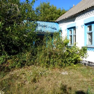 продам дім під ремонт недалеко від Києва - Житні Гори (41 сот)