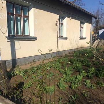 Будинок в с. Ласківці