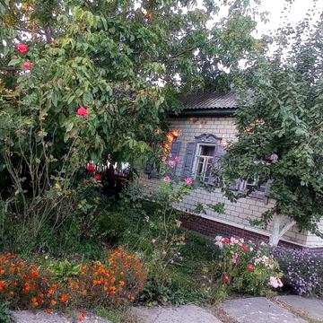 Продам житловий будинок в селі  Талалаївка 11км від Ніжина .