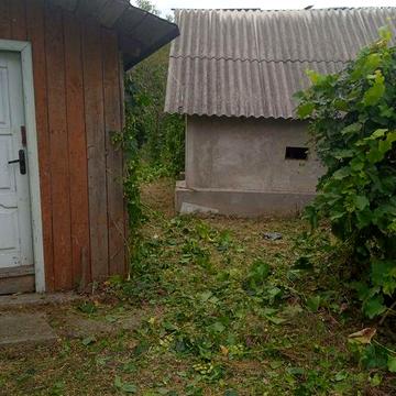 Продається будиночок біля лісу