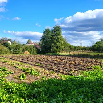 Продам будинок з земельною ділянкою(Клесів)