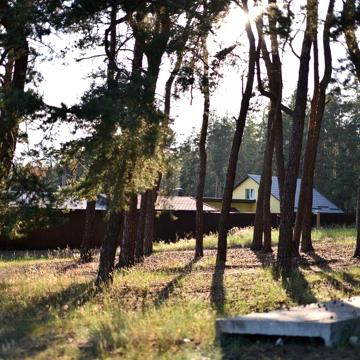 Будинок в селі біля лісу