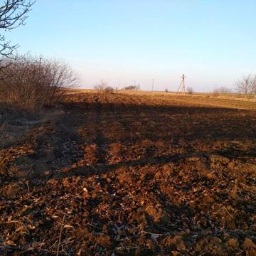 Будинок в  с. Нелипівці