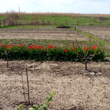 Продам дом возле лимана, Лиманское ПГТ, Раздельнянский район