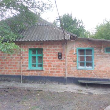 продам дом с участком (чернозем) 0,42 га в с.михайловка полтавской обл