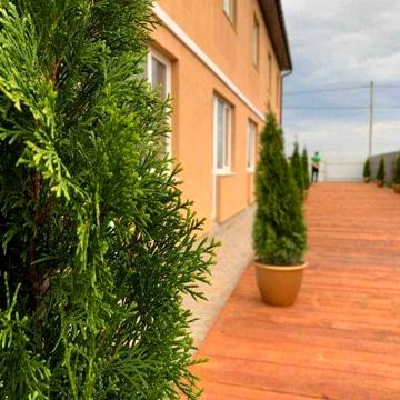 Таунхаус Квартира с терасою і паркомісцем.Без комісії!З документами! ЖК FreeDom