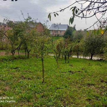 Будинок і земельна ділянка