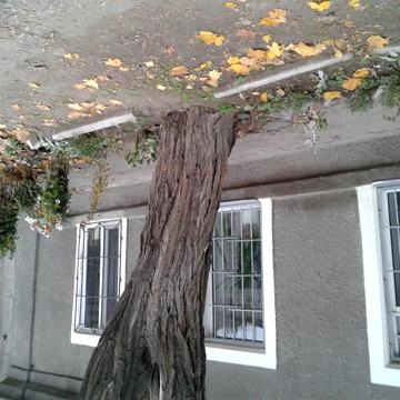 Гаріна вул., 18