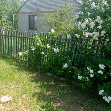 Продам дом  в Коблево
