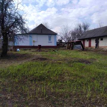 Дом в селі Селище ,Київська обл, Броварський р-он,Баришівська  громада