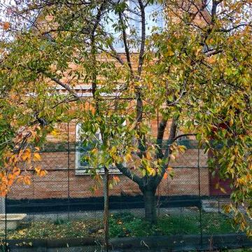 Будинок дача. ст Приозёрне. поряд Новоселівка, Новомосковський р-н.