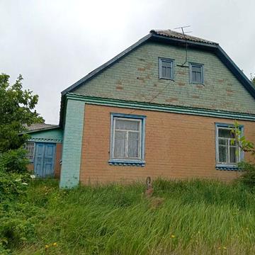 Будинок в селі Небіж Житомирської області
