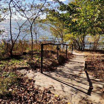 Баркасний пров. (Блюхера)