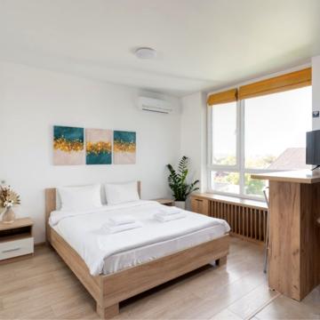 Standard Apartment-studio двухместный