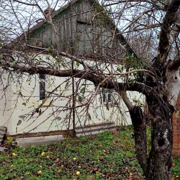 Продам дом-дачу в с. Тарановка