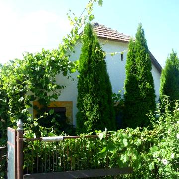 Житловий будинок на Закарпатті!