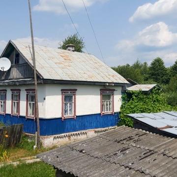 Будинок біля лісу та озера. Олешня.
