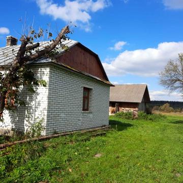 Будинок біля лісу