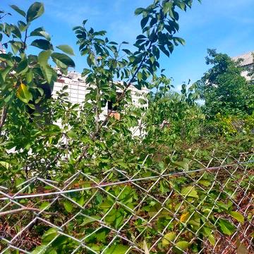 Продам участок под дачу с документами + дом(недострой)