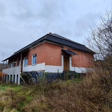 Нежитлова будівля, будинок садибного типу