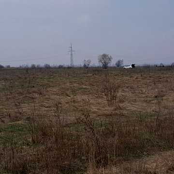 Зазим'я, Броварський, Київська область 25500.0 USD