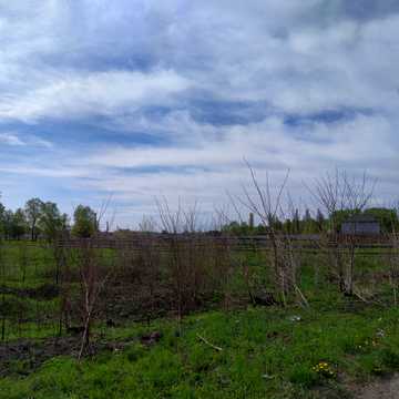 Елеваторна вул.