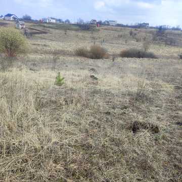 Філармонія, Хмельницький, Хмельницька область 6000.0 USD