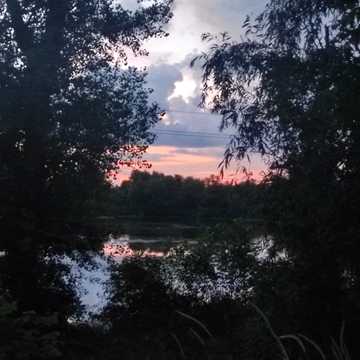 рибальська