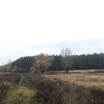 Романківська