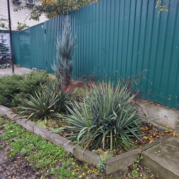 Михайла Грушевського вул. (Карла Лібкнехта)