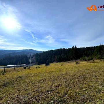 Поляниця, Надвірнянський, Івано-Франківська область 390000.0 USD