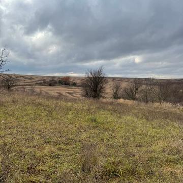 Книжківці, Хмельницький, Хмельницька область 50000.0 USD