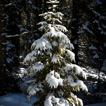 провулок Перова